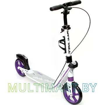 Самокат Triumf Active K2T (белый)